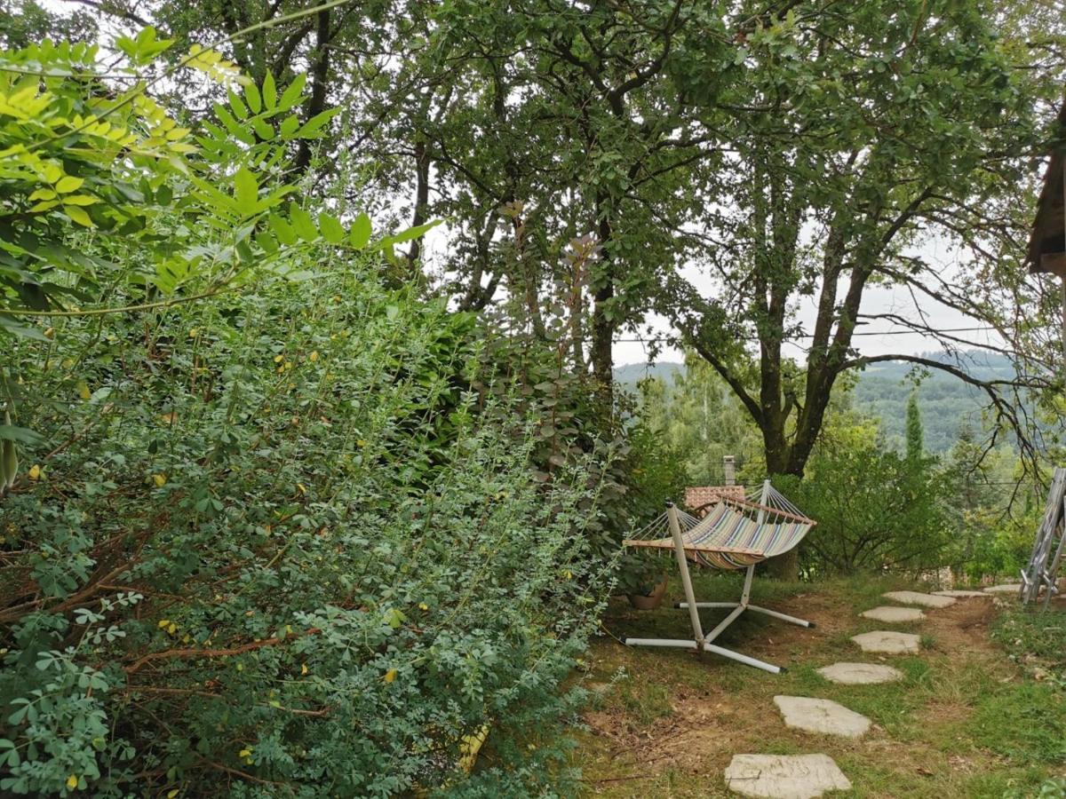 Chambre Chez L'Habitant A La Campagne Sidobre Burlats Exterior photo